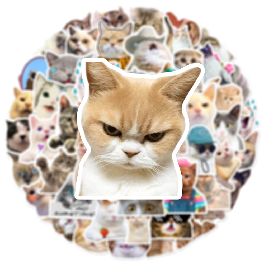 10/30/50pcs Cute Cat Meme Stic - Phone Cases Wholesale recension och pris
