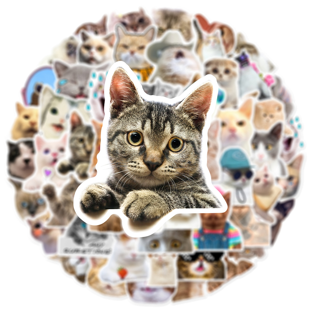 10/30/50pcs Cute Cat Meme Stic - Phone Cases Wholesale recension och pris